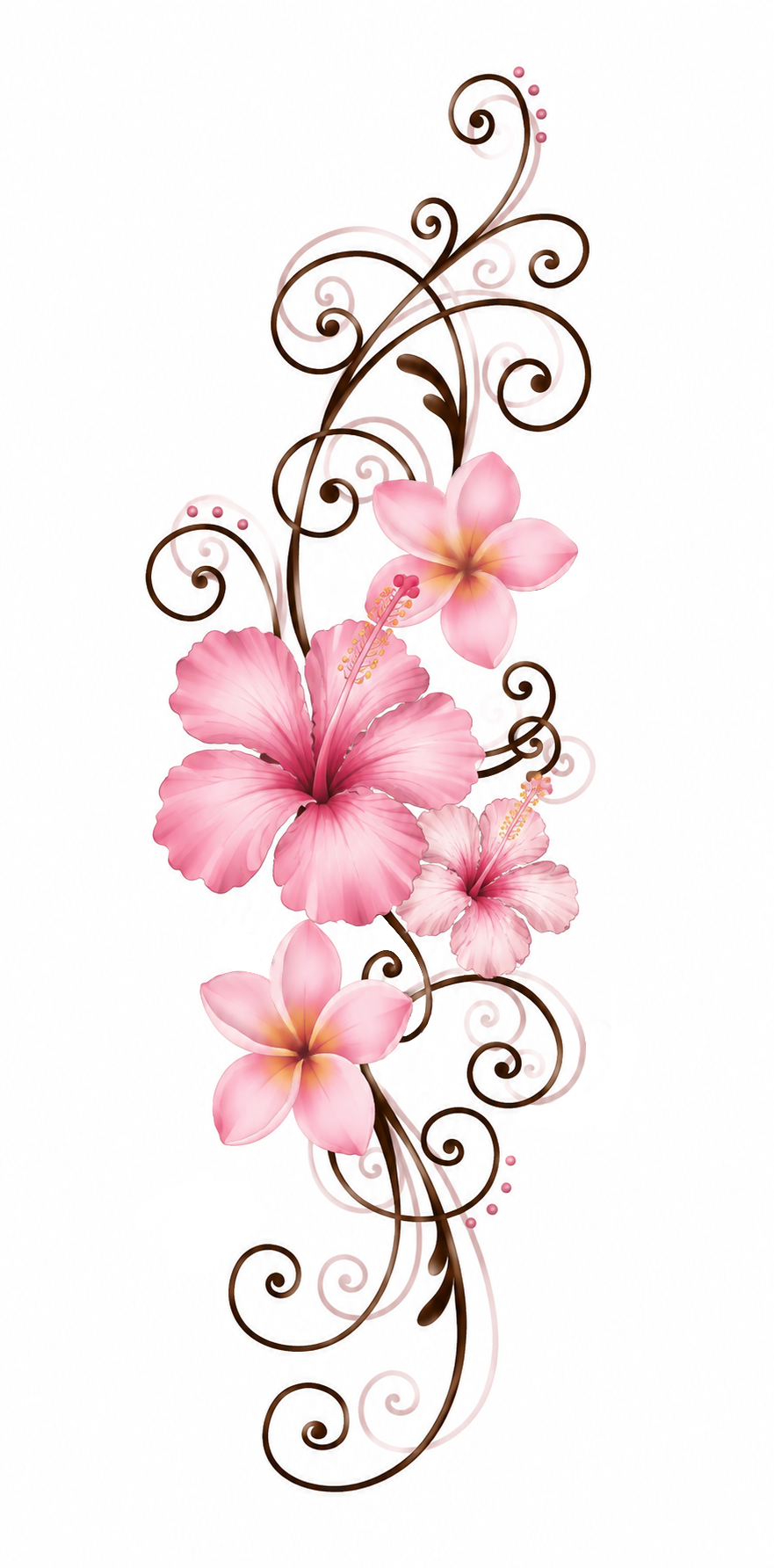 Pink flourish hibiscus