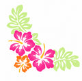 Colorful Hibiscus